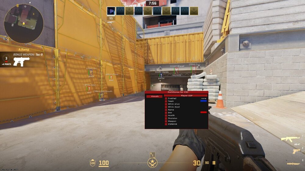 cs2_2.jpg
