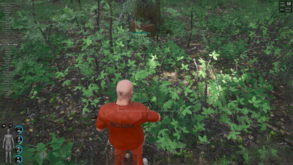 unknown (1).png