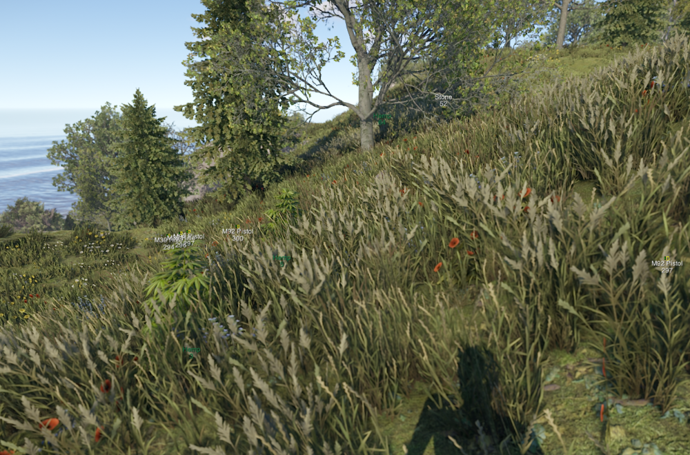 5.png